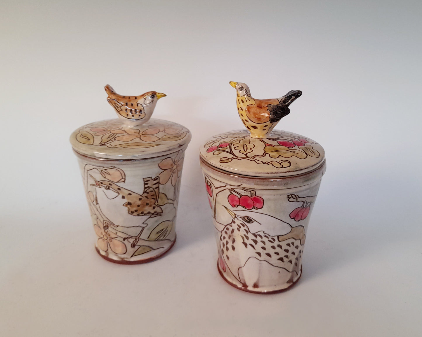 Fieldfare store jar decorated earthenware