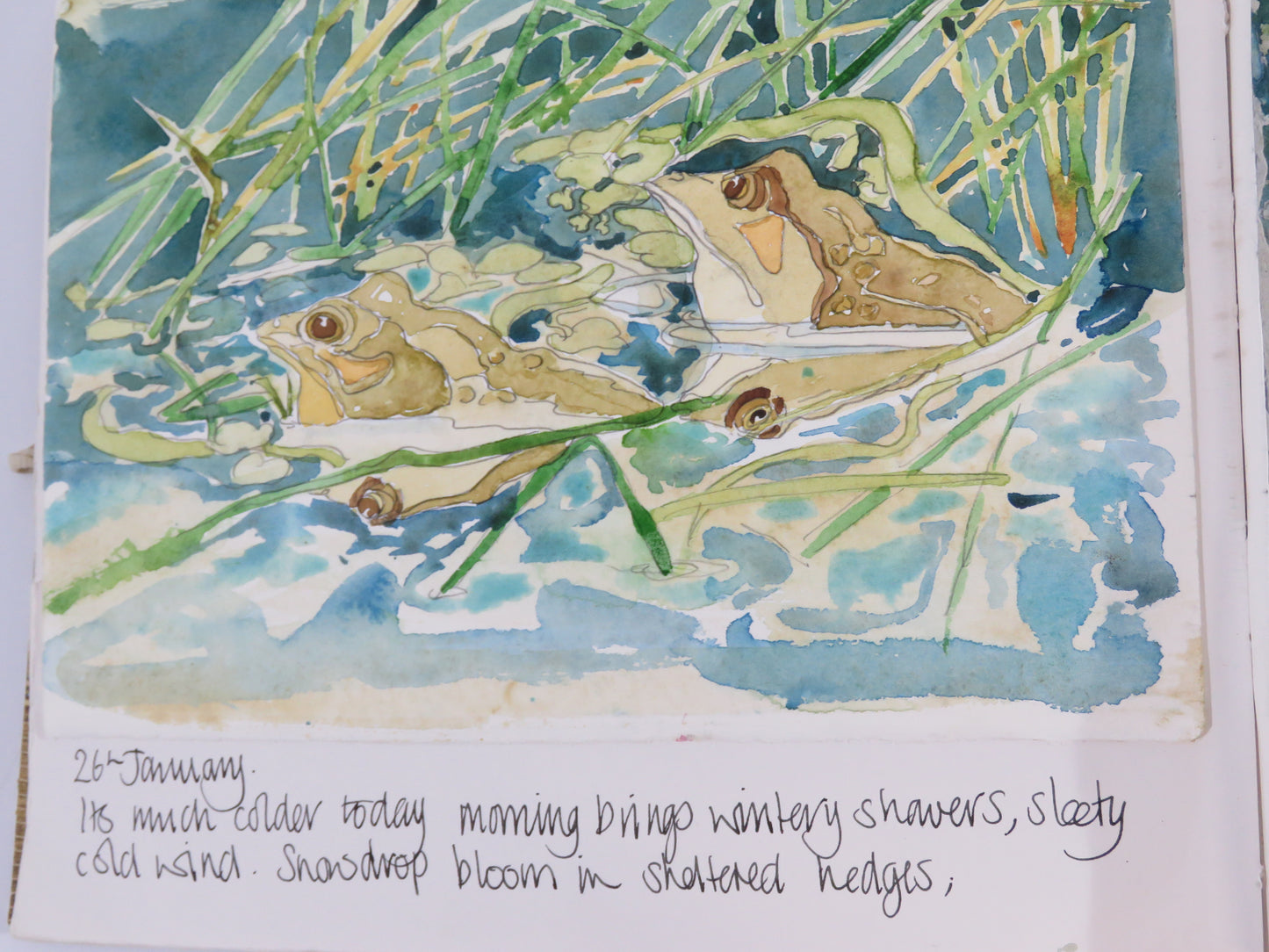 Watercolour Journalling class monthly group dates for 2026 March 12th, April 9th, May 14th, June 11th,