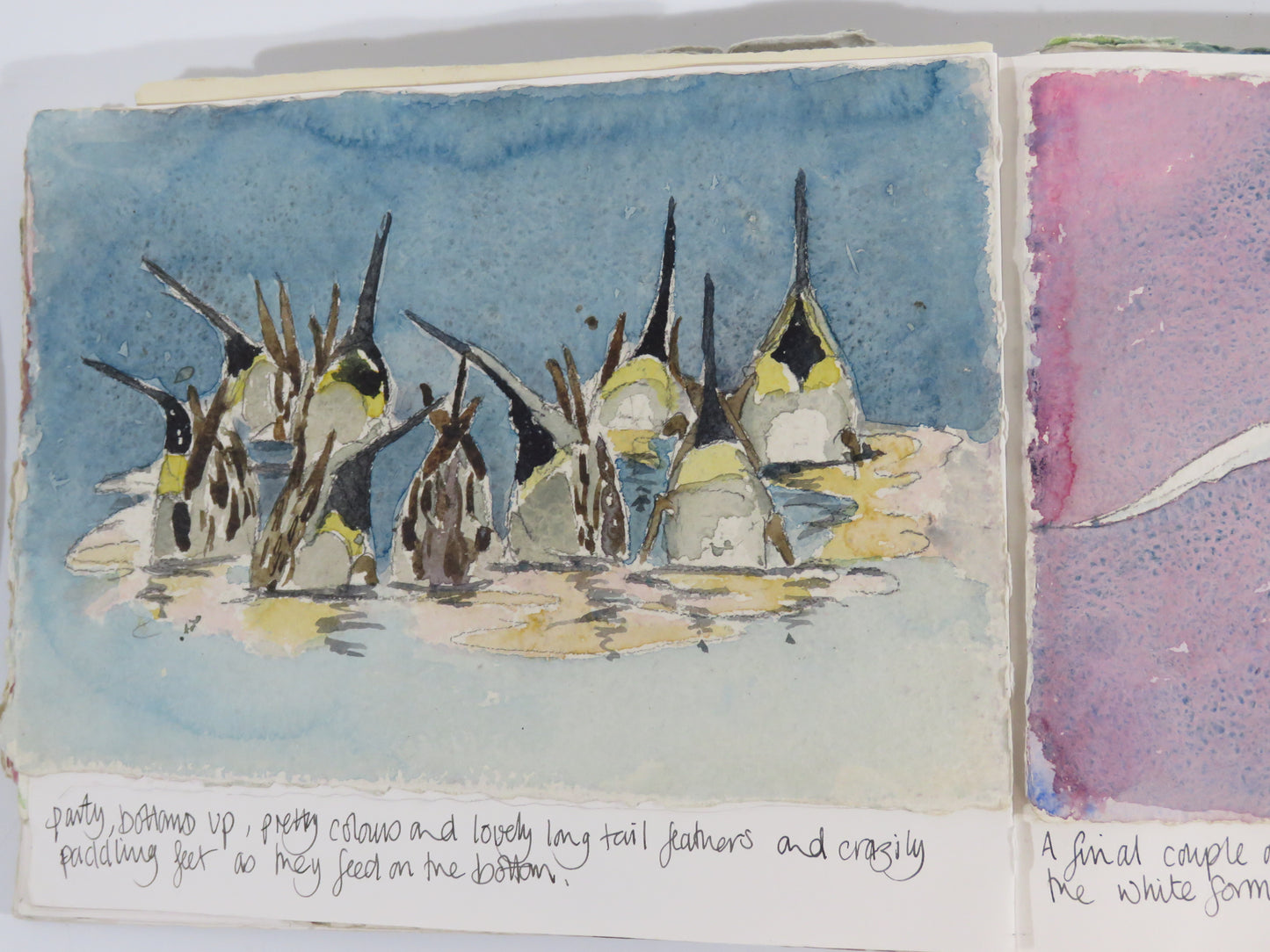 Watercolour Journalling class one to one