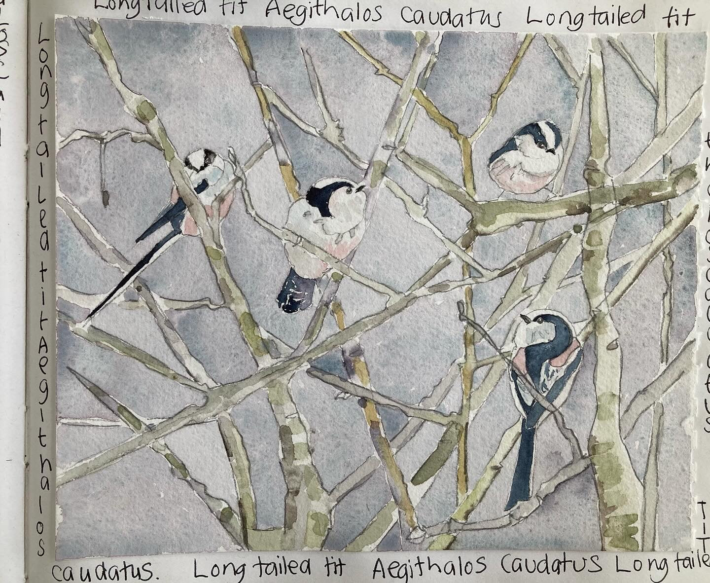 Watercolour Journalling class one to one