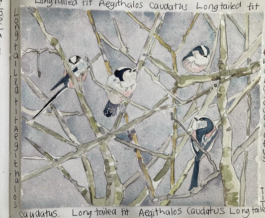 Watercolour Journalling class one to one