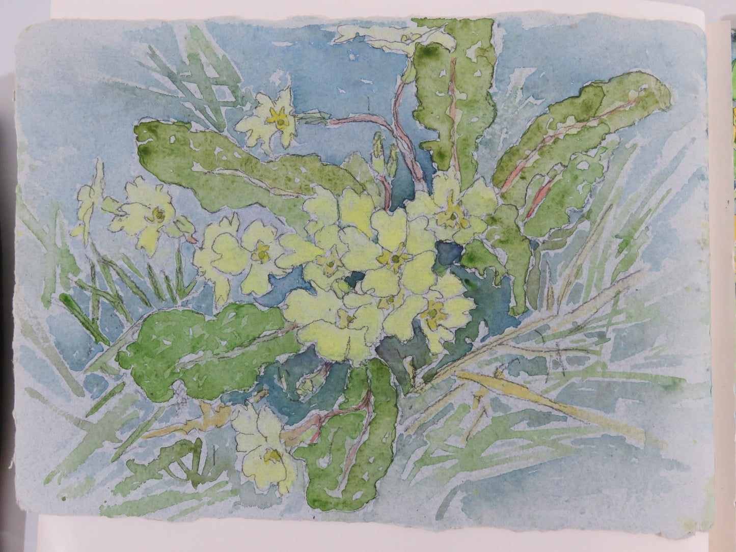 Watercolour Journalling class monthly group  dates for 2026 March 12th, April 9th, May 14th, June 11th,