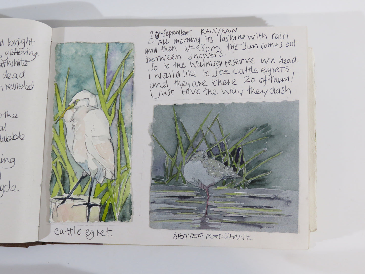 Watercolour Journalling class monthly group  dates for 2026 March 12th, April 9th, May 14th, June 11th,