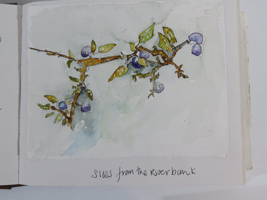 Watercolour Journalling class monthly group  dates for 2026 March 12th, April 9th, May 14th, June 11th,